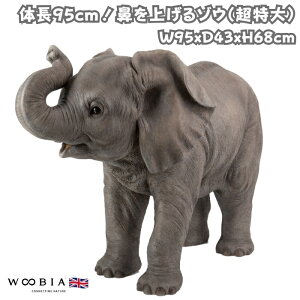 u @グ]E   68cm N  woobia E[rA 傫 킢  K[f CeA IuWF   v[g k  G  _ ʔ  M