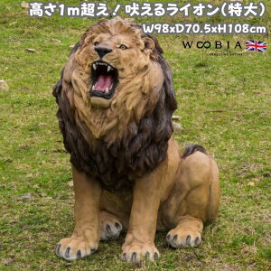u i郉CI  108cm woobia E[rA 傫 킢  K[f CeA IuWF  v[g k  G  _ ʔ  Mtg O  A 