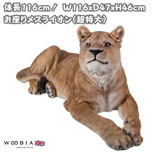 u 胁XCI  IuWF 46cm woobia E[rA 傫 킢  K[f CeA IuWF  v[g k  G  _ ʔ  Mtg 