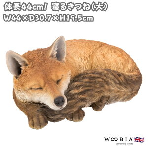 u Q邫   19.5cm IuWF ^ woobia E[rA 傫 킢  K[f CeA  v[g k  G  _ ʔ  Mtg O  