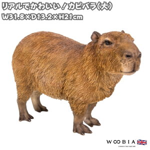 u Jso  킢IuWF ̒31.8cm woobia E[rA 傫 킢  K[f CeA  v[g k  G  _ ʔ  Mtg O  A 