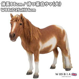 n̒u ҂E} IuWF 64cm  ^ woobia E[rA 傫 킢  K[f CeA  v[g k  G  _ ʔ  Mtg O 