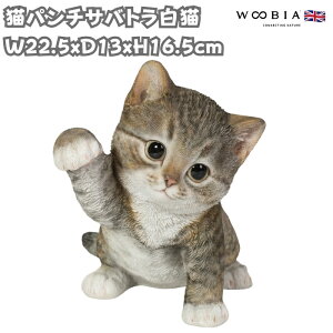 u Lp`TogL lR 16.5cm woobia E[rA 傫 킢  K[f CeA IuWF  v[g k  G  _ ʔ  Mtg O  