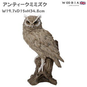 u  킢 IuWF k  AeB[N~~YN 34.8cm ^ woobia E[rA 傫  K[f CeA  v[g  G _ ʔ  Mtg O 