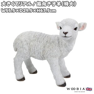 u  Uqr  47.5cm woobia E[rA 傫 킢  K[f CeA IuWF  v[g k  G _ ʔ  Mtg O  A 