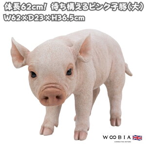 u ҂\sNq  u^ObY 36.5cm IuWF ^ woobia E[rA 傫 킢  K[f CeA  v[g k  G  _ ʔ 