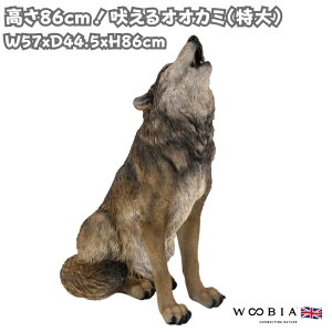 u iIIJ~  86cm IuWF woobia E[rA 傫 ^ 킢  K[f CeA  v[g k  G  _ ʔ  Mtg O 