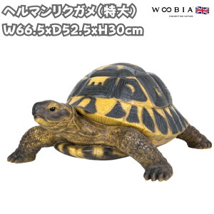u w}NK  TObY 30cm woobia E[rA 傫 킢  K[f CeA IuWF   v[g k  G  _ ʔ  Mtg 