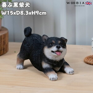 킢̒u ԍČ ObY woobia E[rA Ck  K[f CeA gC IuWF  v[g k  G  _ ʔ  Mtg O  A 
