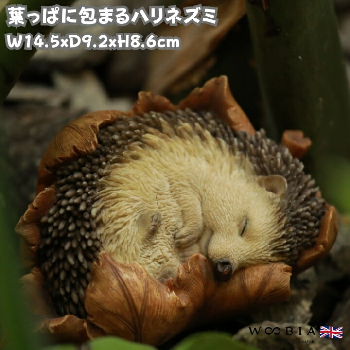 楽天市場】かわいい 置物 葉っぱに包まるハリネズミ woobia ウービア 