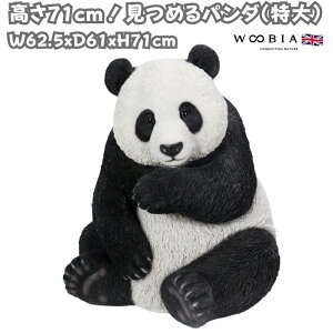u ߂p_  71cm woobia E[rA 傫 킢  K[f CeA IuWF   v[g k  G  _ ʔ  Mtg O  A