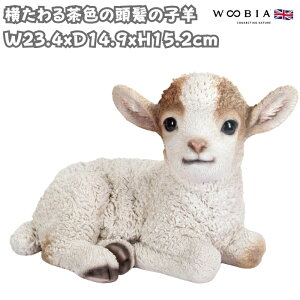 置物 横たわる茶色の頭髪の子羊 高さ15.2cm woobia ウービア 大きい かわいい おしゃれ ガーデン インテリア オブジェ 可愛い プレゼント 北欧 玄関 雑貨 動物 モダン 面白い 庭 ギフト 屋外 家
