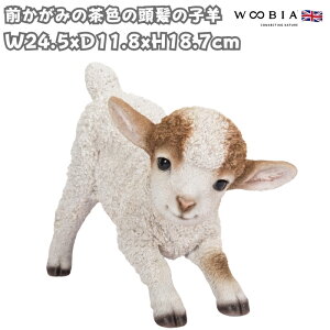 u O݂̒F̓̎qr 18.7cm woobia E[rA 傫 킢  K[f CeA IuWF  v[g k  G  _ ʔ  Mtg O 