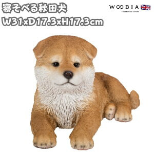 ̒u QׂHc 17.3cm woobia E[rA 傫 킢  K[f CeA IuWF  v[g k  G  _ ʔ  Mtg O  A 