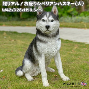 킢  u  VxAnXL[ 50cm woobia E[rA IuWF Ck  K[f CeA  v[g k  G  _ ʔ  Mtg O 