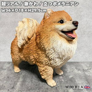 ̒u |jA Ck 29.5cm IuWF ^ woobia E[rA 傫 킢  K[f CeA  v[g k  G  _ ʔ  Mtg