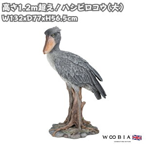 ̒u nVrRE  123cm IuWF 킢 k   ^ woobia E[rA 傫  K[f CeA  v[g  G _  Mtg O  