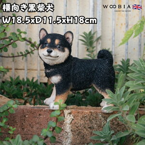 킢̒u Č ObY woobia E[rA Ck  K[f CeA gC IuWF  v[g k  G  _ ʔ  Mtg O  A 