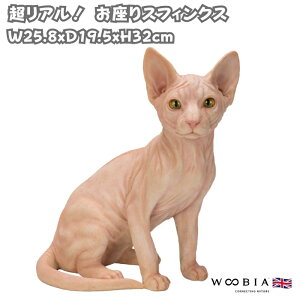 L u Ał킢  傫 XtBNX 32cm woobia E[rA K[f CeA IuWF   v[g k  G  _ ʔ  Mtg 