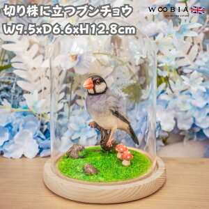 u  킢 IuWF k  ؂芔ɗu`E  12.8cm woobia E[rA 傫  K[f CeA ^ v[g  G _ ʔ  Mtg O 