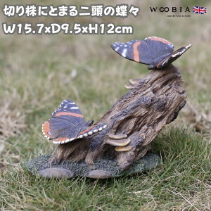 u ؂芔ɂƂ܂񓪂̒X 킢 IuWF k  12cm `E` woobia E[rA 傫  K[f CeA v[g  G _ ʔ  Mtg O 