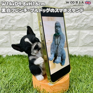 X}zX^h t`uhbO woobia E[rA  Ck   Aj} X}zz_[  v[g Mtg 蕨 u  A Aj}IuWF CeA 