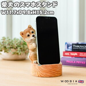 X}zX^h Č ObY woobia E[rA  Ck   Aj} X}zz_[  v[g Mtg 蕨 u  A Aj}IuWF CeA 킢  