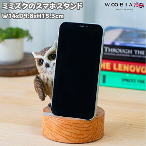 X}zX^h  ~~YN woobia E[rA tNE   Aj} X}zz_[  v[g Mtg 蕨 u  A Aj}IuWF CeA 킢 K