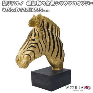 u V}E}̃IuWF n 45.5cm F S[h N  woobia E[rA 傫 킢  K[f CeA IuWF   v[g k  G  _