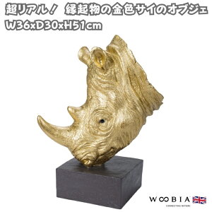 u TC̃IuWF 51cm F S[h N  woobia E[rA 傫 킢  K[f CeA IuWF   v[g k  G  _ ʔ 