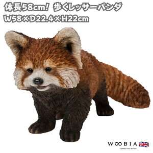 u bT[p_ 22cm IuWF ^ woobia E[rA 傫 킢  K[f CeA  v[g k  G  _ ʔ  Mtg O  