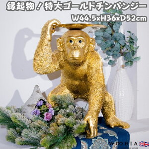 u S[h`pW[̃g[ 52cm u N F woobia E[rA 傫 킢  K[f CeA IuWF   v[g k  G  _