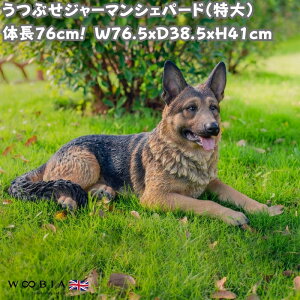 u ԂW[}VFp[h  Ck 41cm woobia E[rA 傫 킢  K[f CeA IuWF   v[g k  G  _ ʔ  