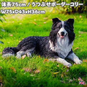 u Ԃ{[_[R[  Ck 36cm woobia E[rA 傫 킢  K[f CeA IuWF   v[g k  G  _ ʔ  Mtg 