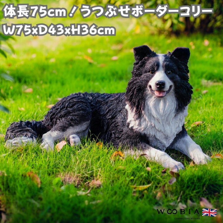 楽天市場】犬 置物 大きい うつぶせボーダーコリー 横幅75cm woobia 