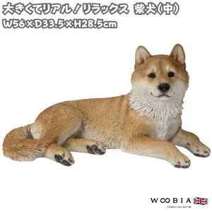 u bNXČ  ObY 28.5cm woobia E[rA 傫 킢  K[f CeA IuWF   v[g k  G  _ ʔ  Mtg 