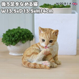 u 둫Ȃ߂L lR 14cm woobia E[rA 傫 킢  K[f CeA IuWF  v[g k  G  _ ʔ  Mtg O  A
