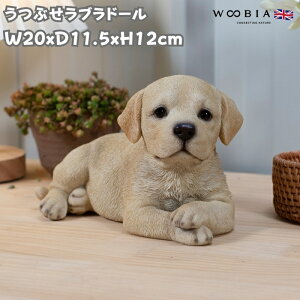  u  Ԃuh[go[ 킢  IuWF CeA woobia E[rA Ck K[f gC  v[g k  G _ ʔ  Mt