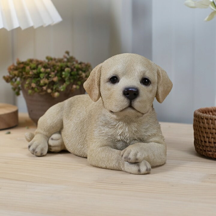 楽天市場】犬 置物 小さい かわいい おしゃれ うつぶせラブラドール 