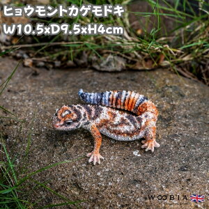 u qEgJQhL zCgIWuE }Olbg 4cm woobia E[rA 킢  K[f CeA gC IuWF v[g k  G  _ 