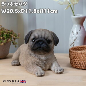 킢  u ԂpO 11cm woobia E[rA Ck  K[f CeA gC IuWF  v[g k  G  _ ʔ  Mtg O  A 