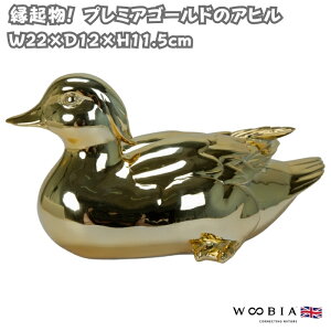u  킢 IuWF k  v~AS[h̃Aq F N 11.5cm woobia E[rA 傫  K[f CeA   G _ ʔ  Mtg O 