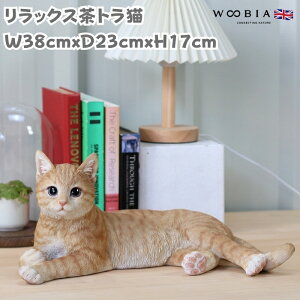 L u Ał킢  傫 bNXgL lR 17cm woobia E[rA K[f CeA IuWF   v[g k  G  _ ʔ  M