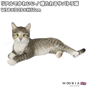 L u Ał킢  傫 TogL lR 17cm woobia E[rA K[f CeA IuWF  v[g k  G  _ ʔ  Mtg 