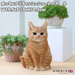 킢 L u ueBbVV[gwA g  woobia E[rA lR  K[f CeA gC IuWF  v[g k  G  _ ʔ 