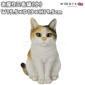 u OєLij lR 19.5cm woobia E[rA 傫 킢  K[f CeA IuWF  v[g k  G  _ ʔ  Mtg O  