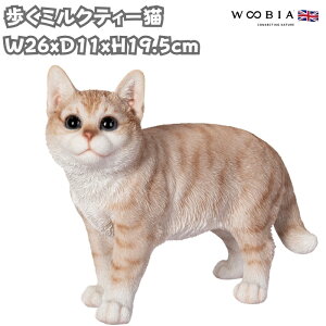 u ~NeB[L lR 19.5cm woobia E[rA 傫 킢  K[f CeA IuWF  v[g k  G  _ ʔ  Mtg O  