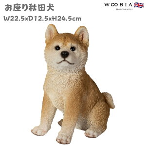 u  Hc ObY 24.5cm woobia E[rA 傫 킢  K[f CeA IuWF  v[g k  G _ ʔ  Mtg O  A