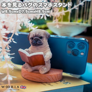 X}zX^h {pO woobia E[rA  Ck   Aj} X}zz_[  v[g Mtg 蕨 u  A Aj}IuWF CeA 킢 