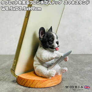 X}zX^h ^ubgt`uhbO woobia E[rA  Ck   Aj} X}zz_[  v[g Mtg 蕨 u  A Aj}IuWF 